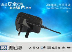 12V1A英規(guī)BS